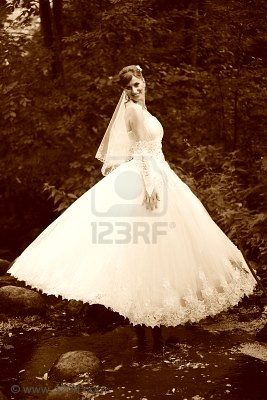 8703987-bride-in-wedding-gown-outside