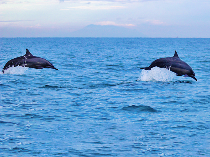 langkawi